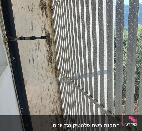 רשת למניעת כניסת יונים במרפסת
